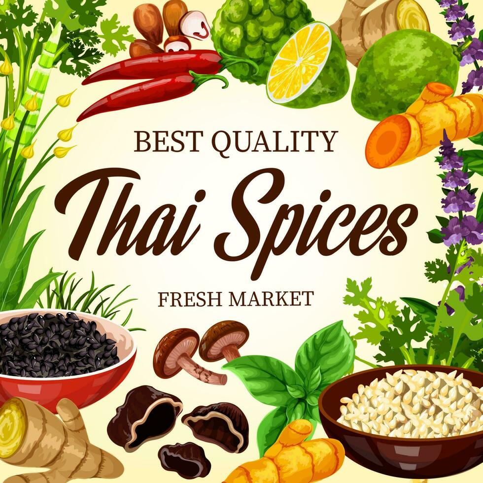 Thai cooking spices and herbs, Asian seasonings vector