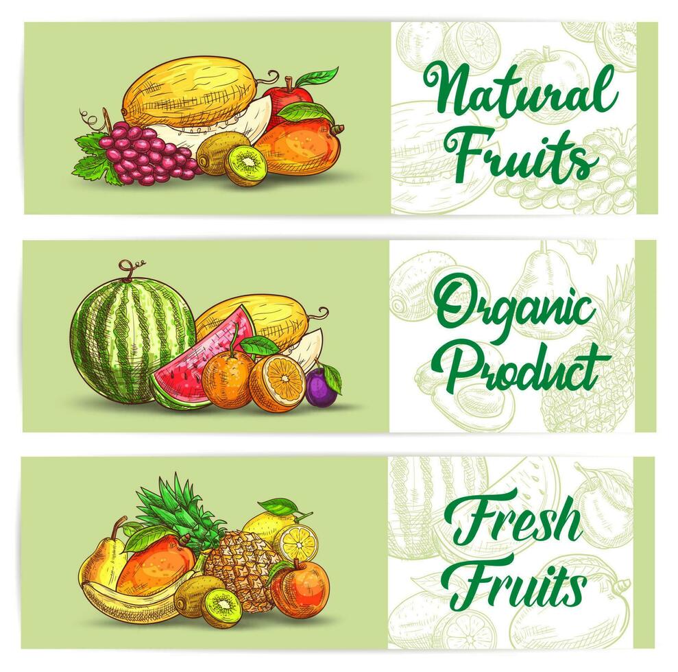 Fresco frutas bosquejo pancartas, vector agricultura