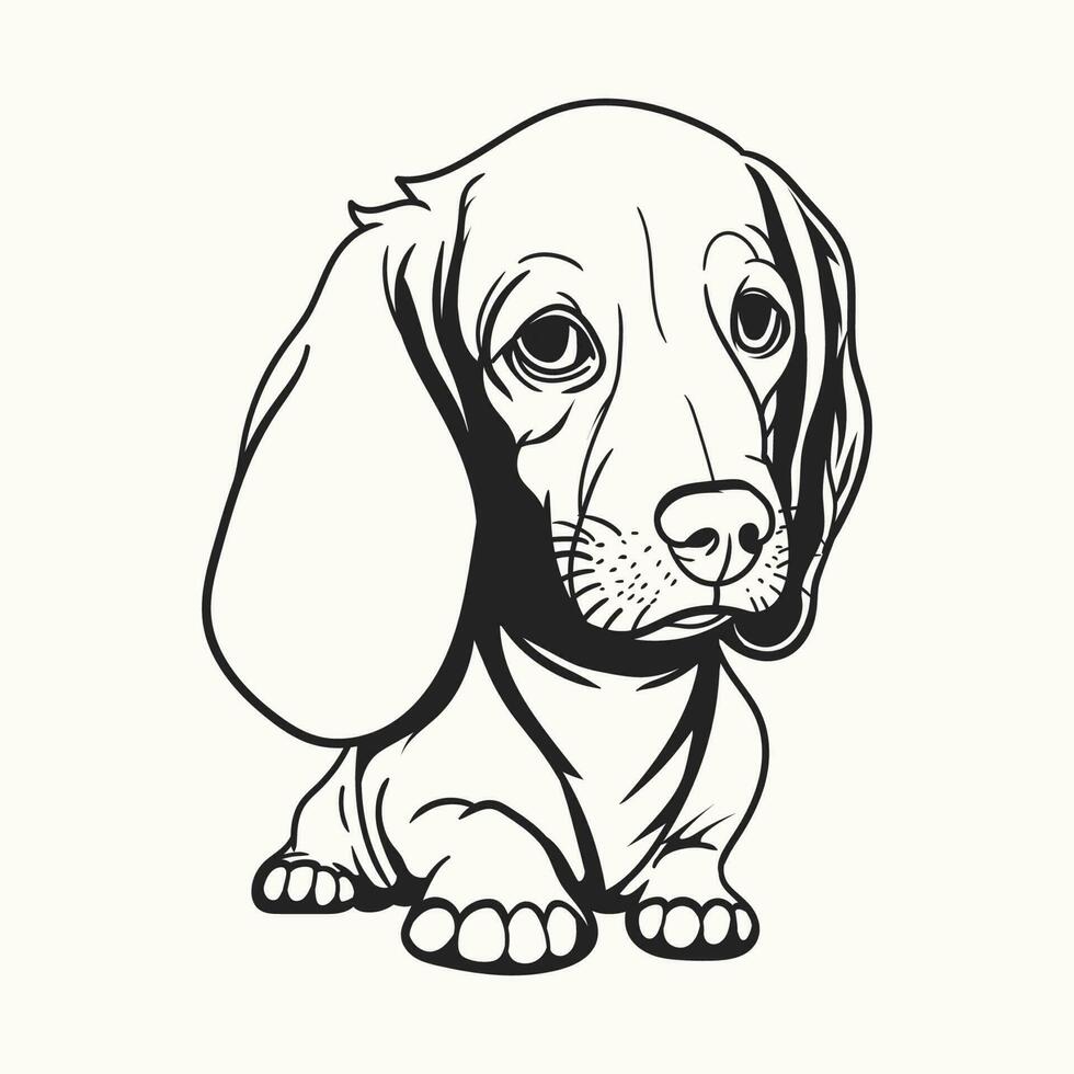 sketch of dachshund vector illustration