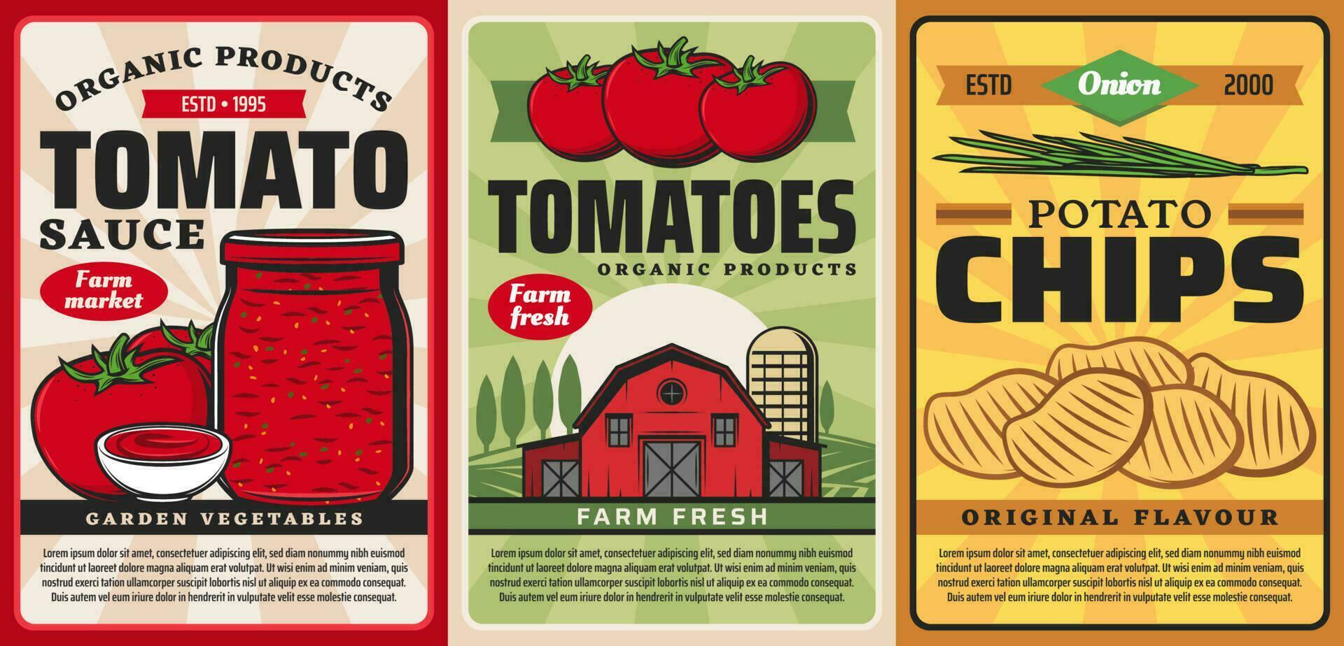 Tomato sauce ketchup, potato chips, farm food vector