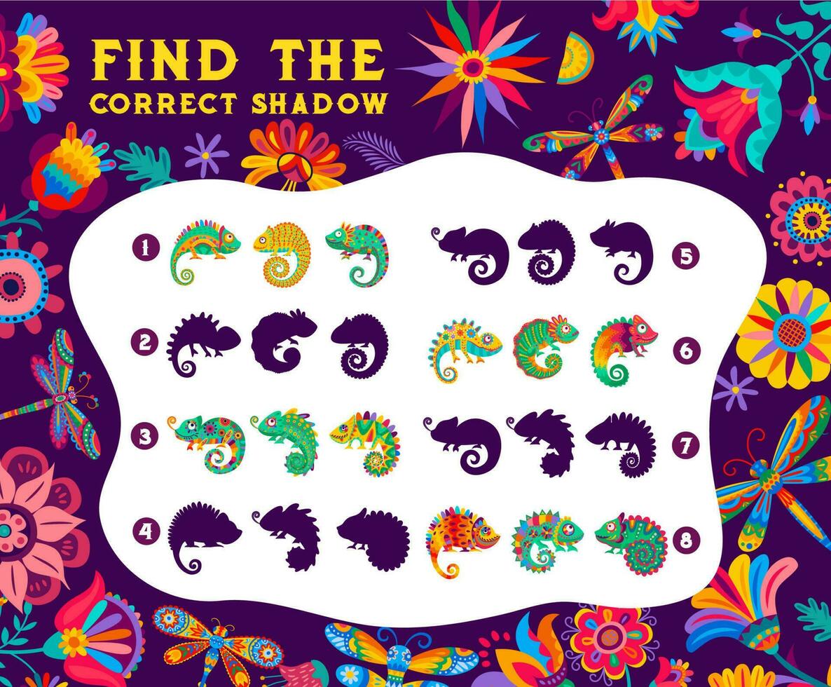 Find the correct shadow of mexican chameleons vector