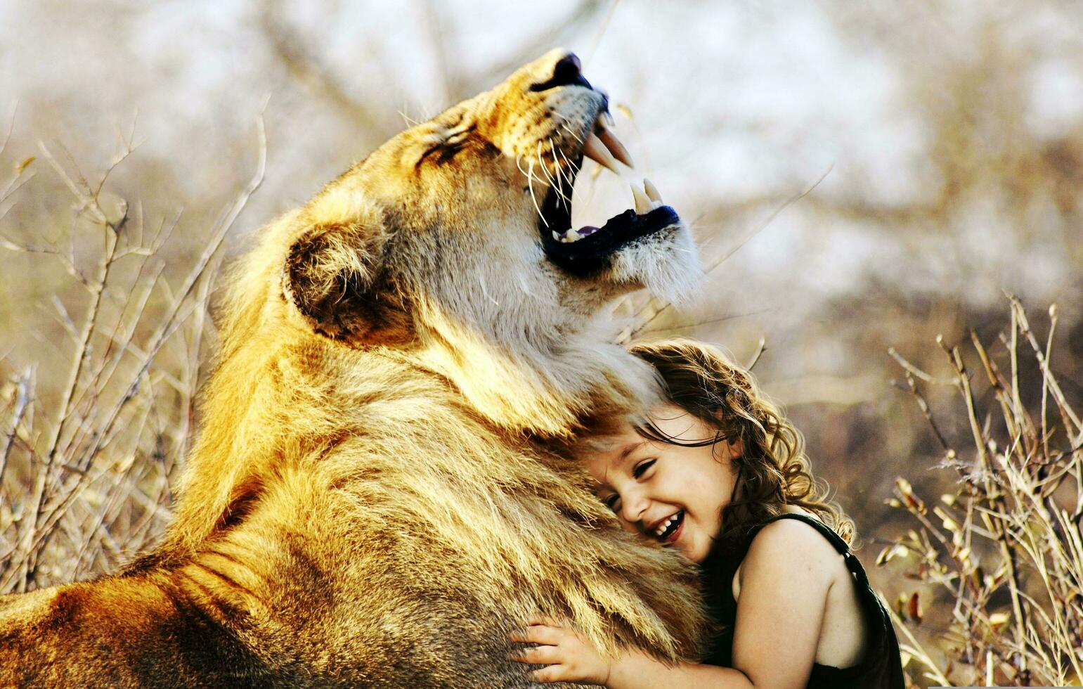 The baby loves the lion very much The lion and the baby love very much 2 people are happy photo