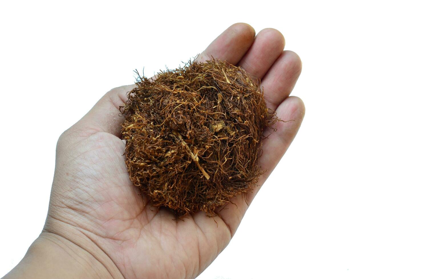 Indonesian tobacco in the hands of adults, isolated at white backgroun photo