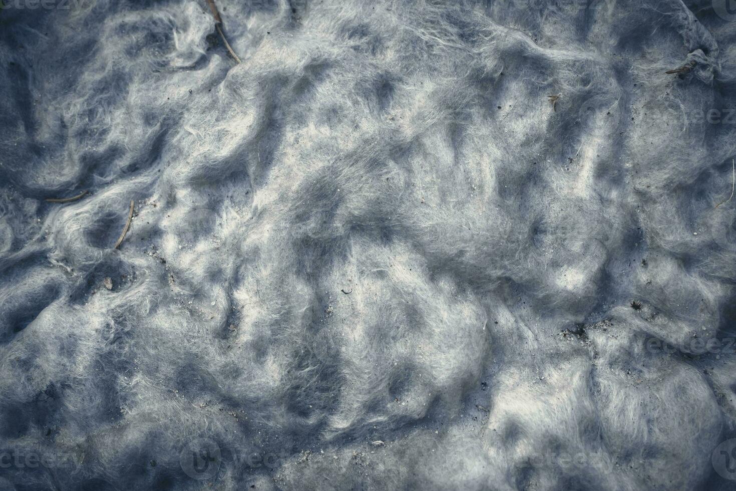 Background of white dirty cotton wool from old matress stuffing close up top down view photo