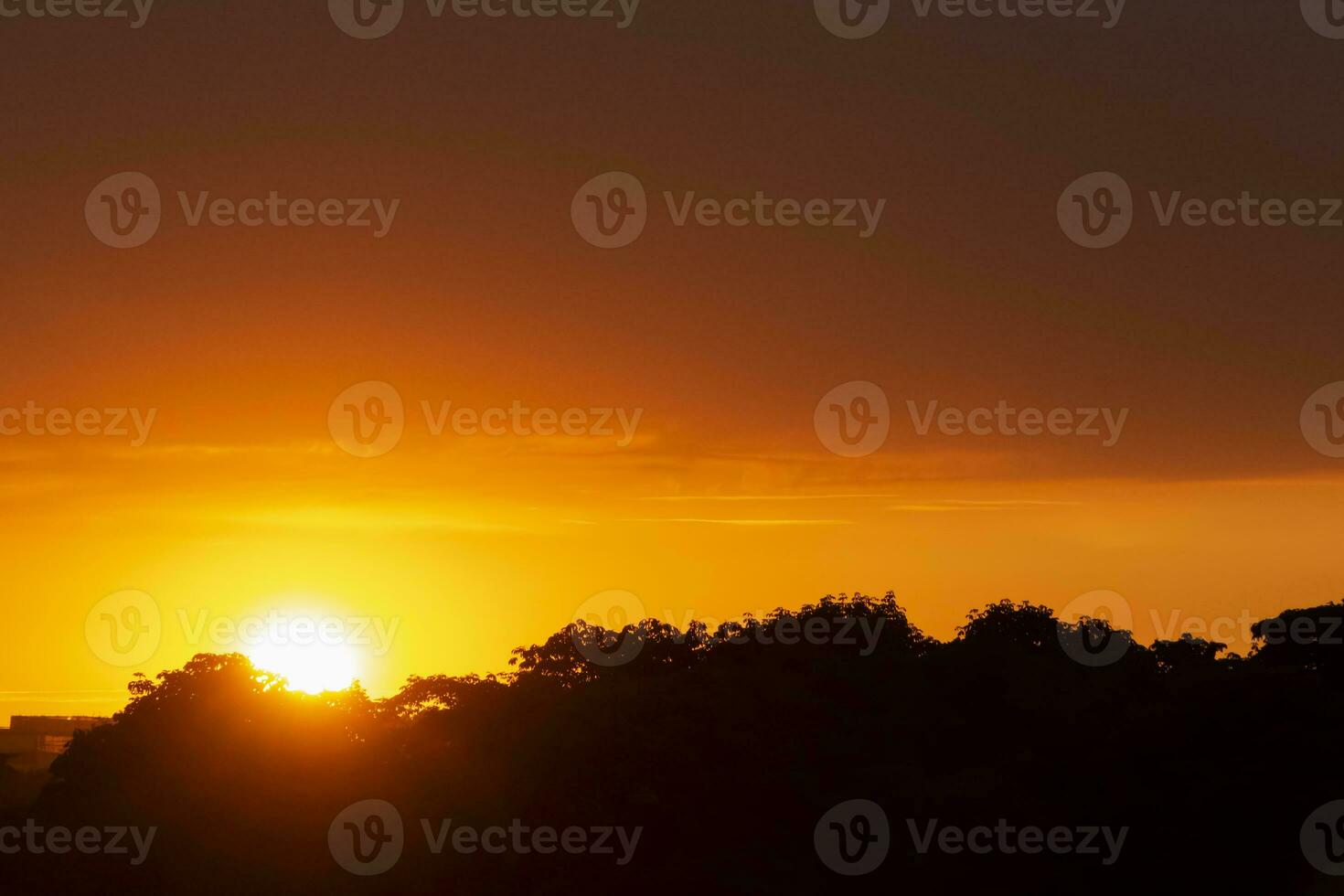 view on sunset from park in Paris photo