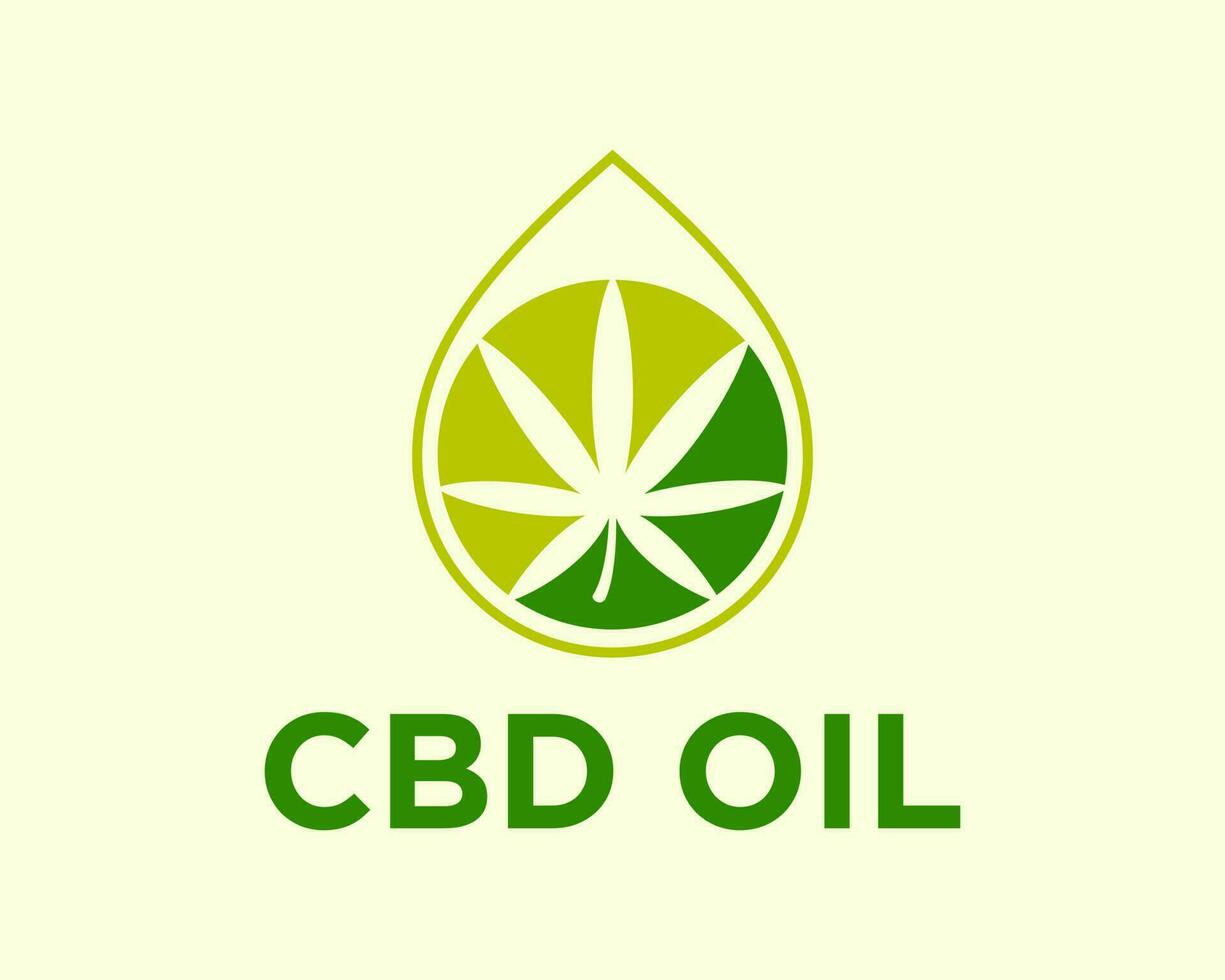 Hemp leaf logo design for Medical Cannabis clinic vector