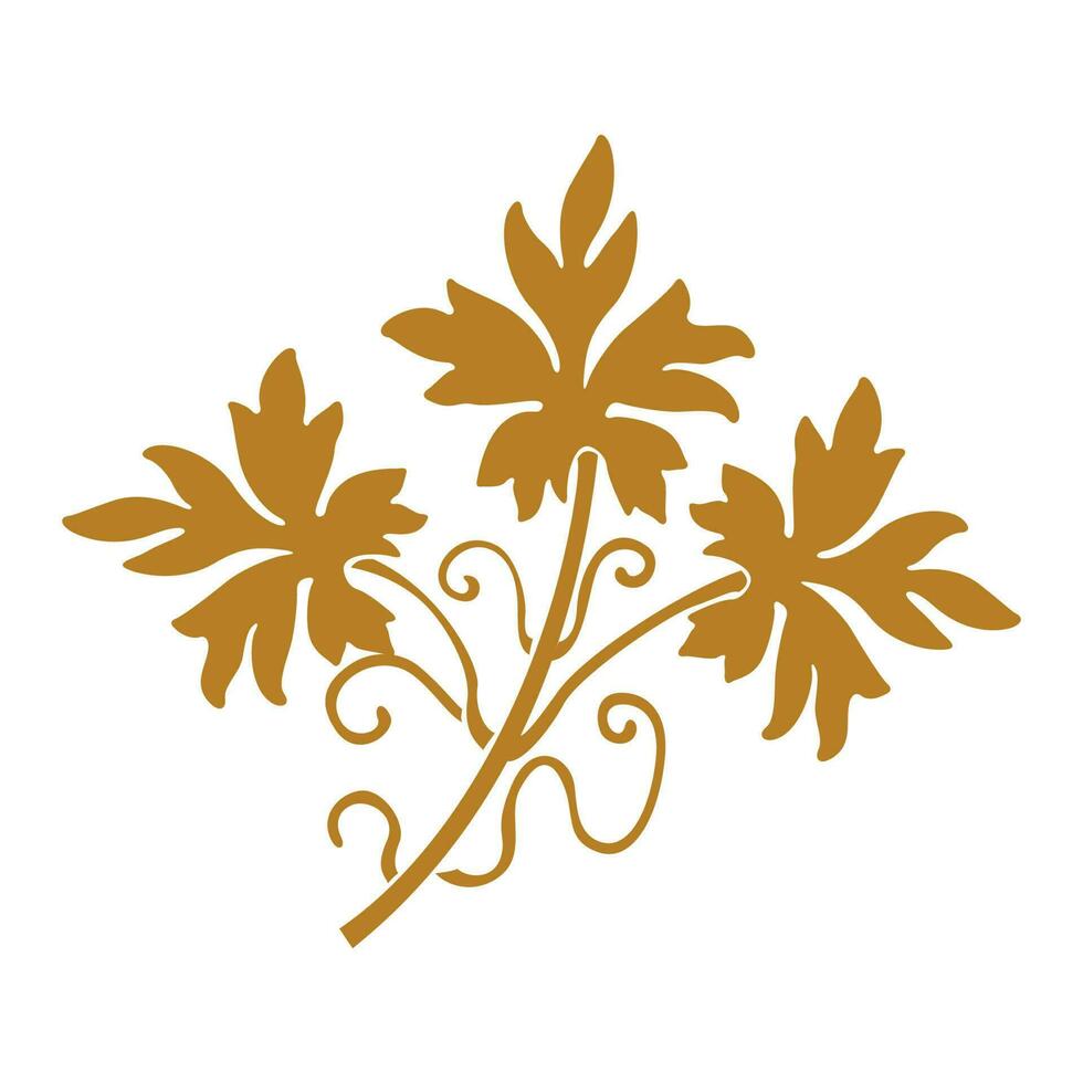Ornate ornament design and decorative elements. Classic calligraphic and floral vector illustration.
