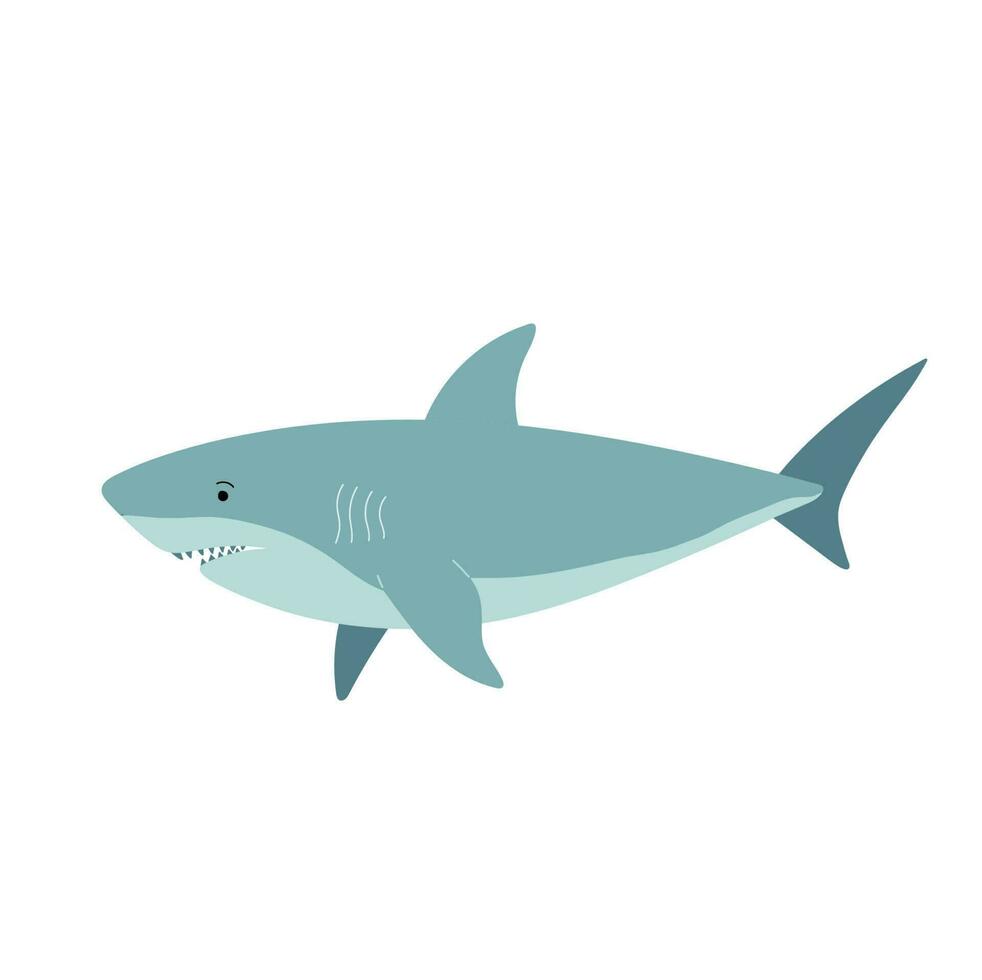 tiburón en plano estilo aislado en blanco antecedentes. dibujos animados mar depredador vector ilustración. dibujos animados Oceano pescado personaje