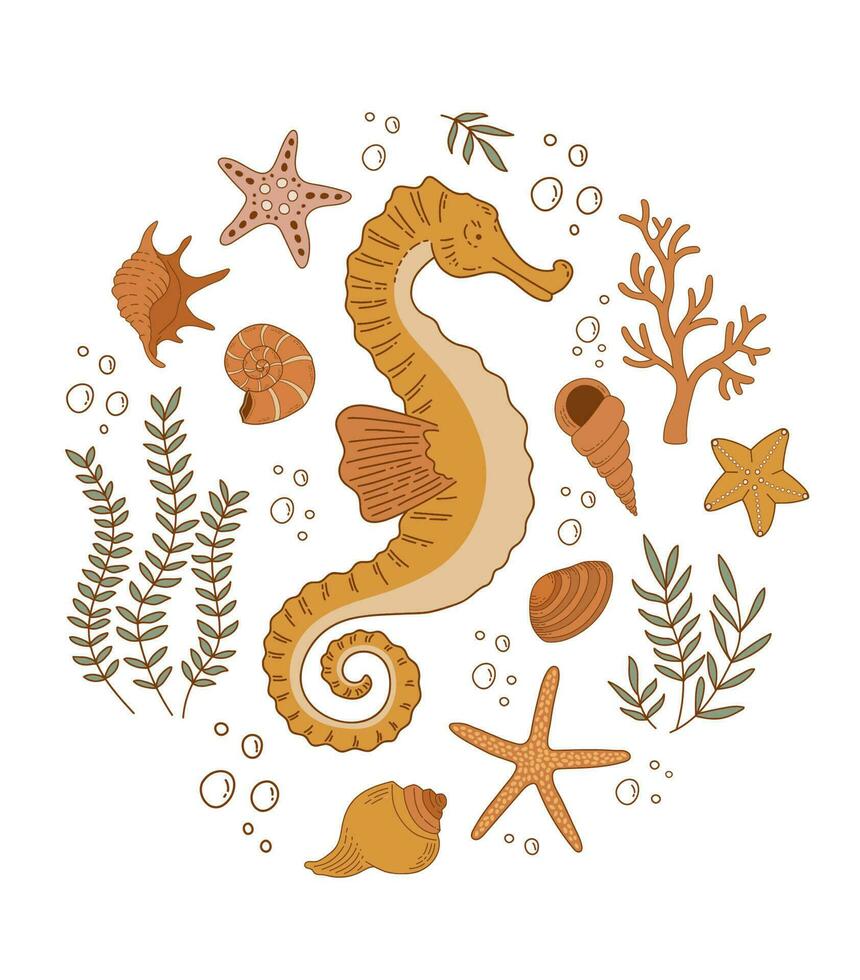 Seahorse, starfish and shells outline vector illustration. Underwater world in flat style on a white background. Cute marine animal character for poster, invitation, children book, card, print