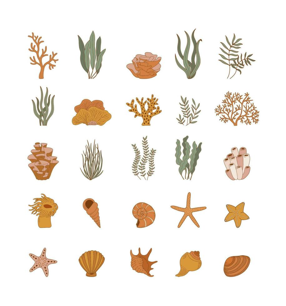 Shells, sea plants and starfish isolated on white background. Coral reef outline vector illustration. Collection of clam mollusc linear icons. Ocean life in flat style