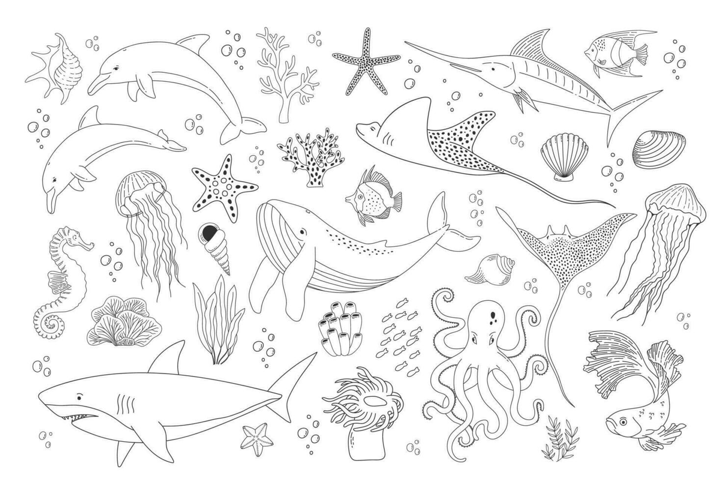 Set with hand drawn sea life elements. Vector outline set of ocean objects. Beautiful underwater world in line style. Fish, shark, jellyfish, octopus, dolphins, shells, seaweed and corals on white.