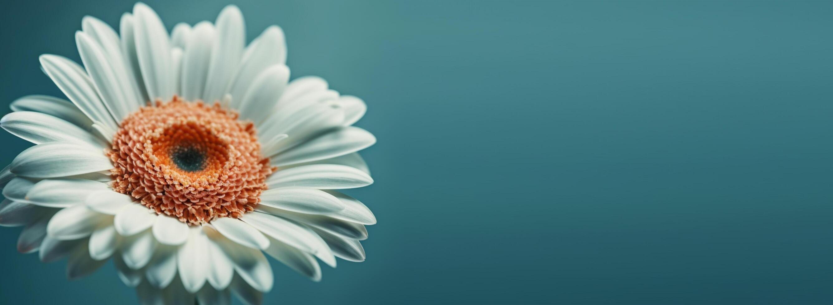 flor cerca arriba foto antecedentes. con Copiar espacio. generativo ai