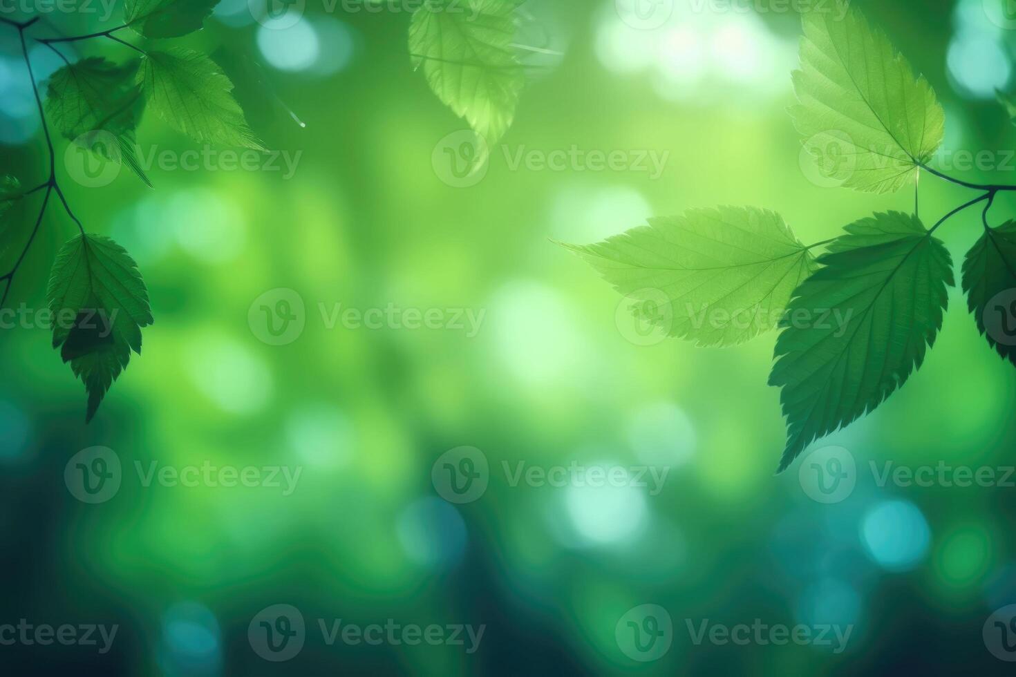 Fresh and green leaves green bokeh on blurred green background. Mock up. photo