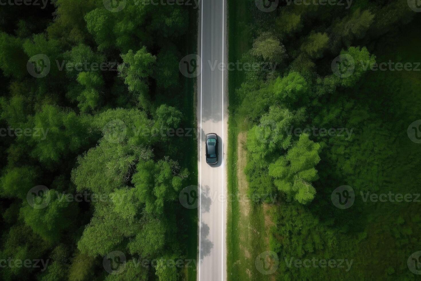 Aerial view road and forest. Road going through forest with car view from above. photo