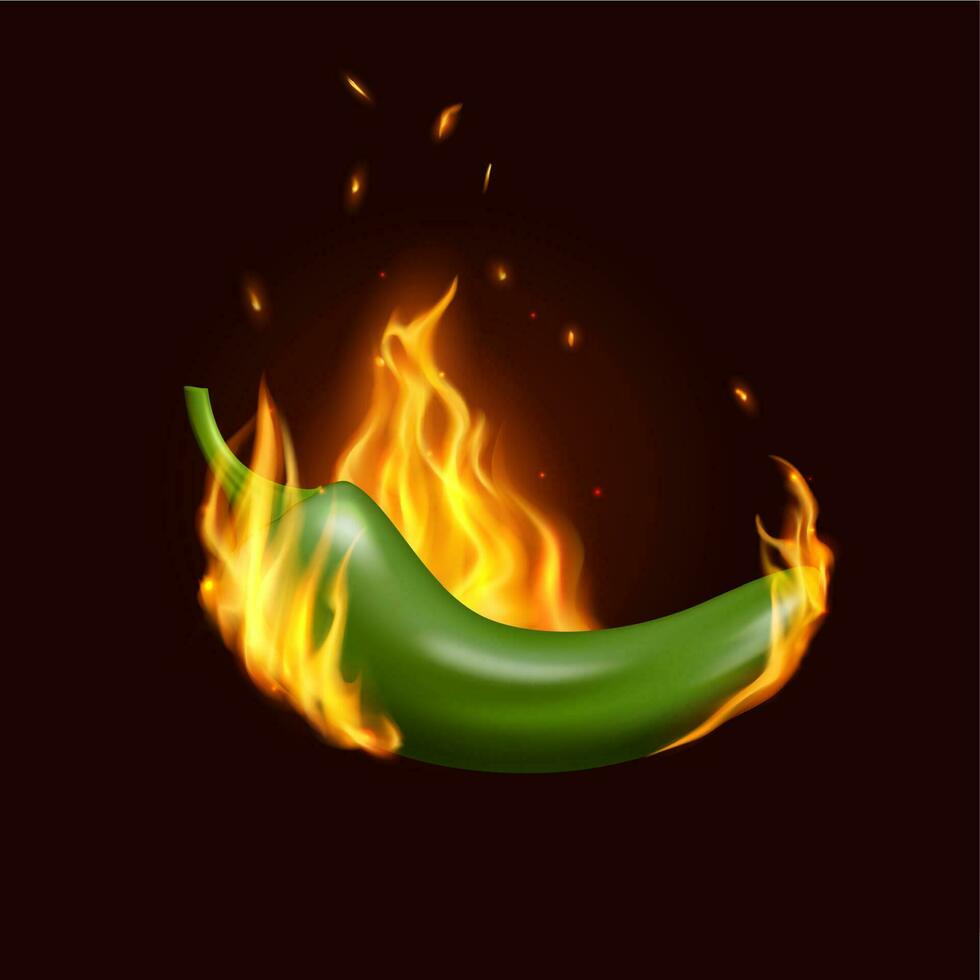 jalapeño chile pimienta en fuego, mexicano cocina vector