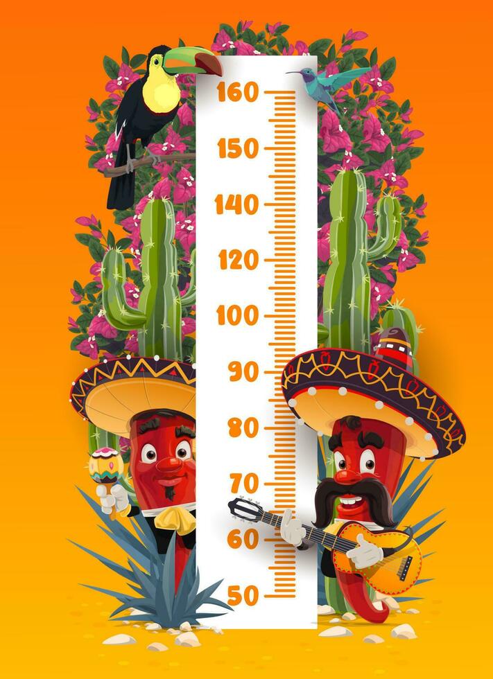 Kids height chart with Mexican mariachi vector