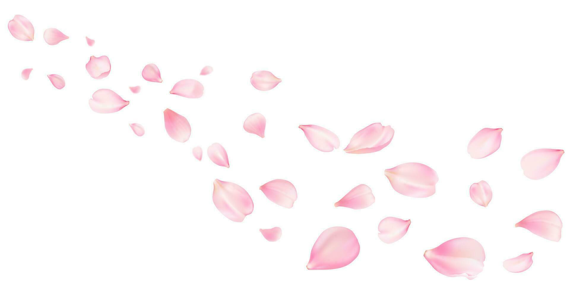 Sakura flying petals, romantic background, flowers vector