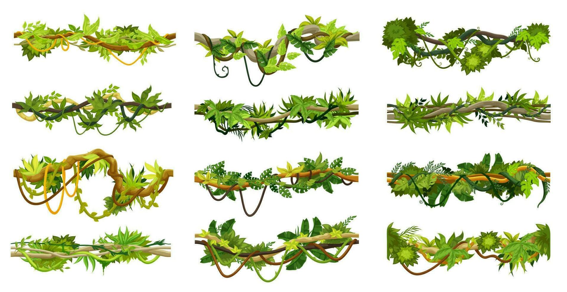 Cartoon jungle tropical liana branch vines set vector