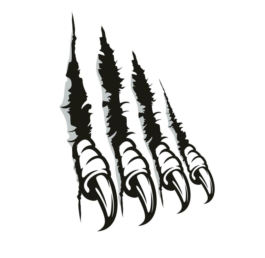 Bird of prey claw marks, scratches, monster nails vector