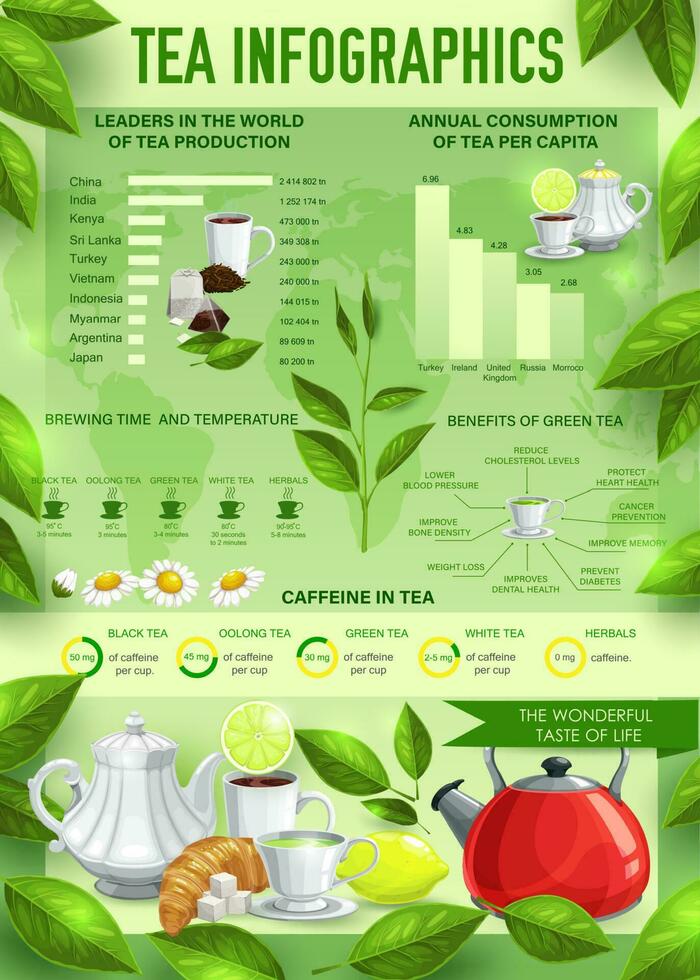 Tea beverage vector infographics, charts, graphs