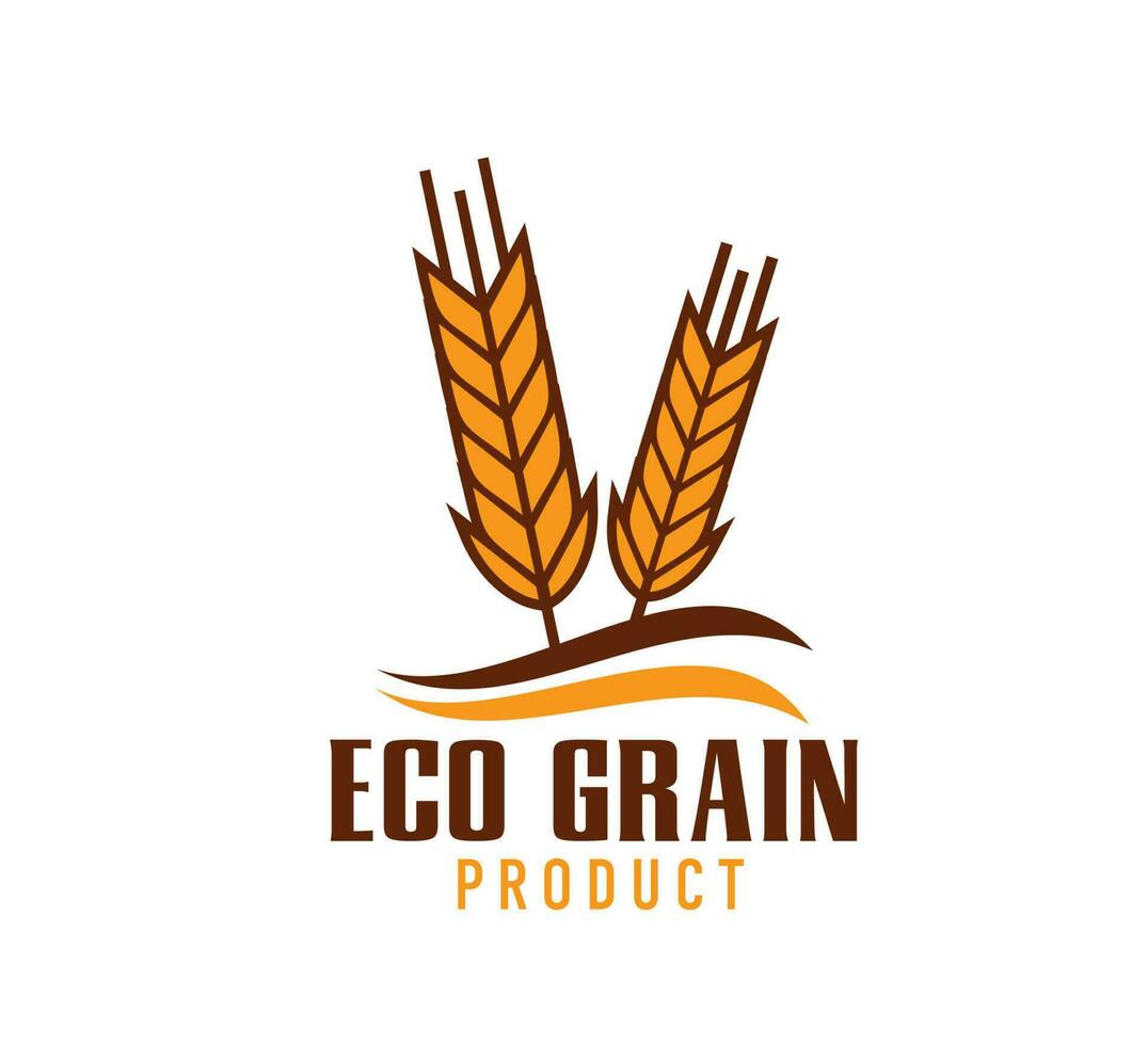 Wheat icon, rice, oat, barley, millet cereal ears vector