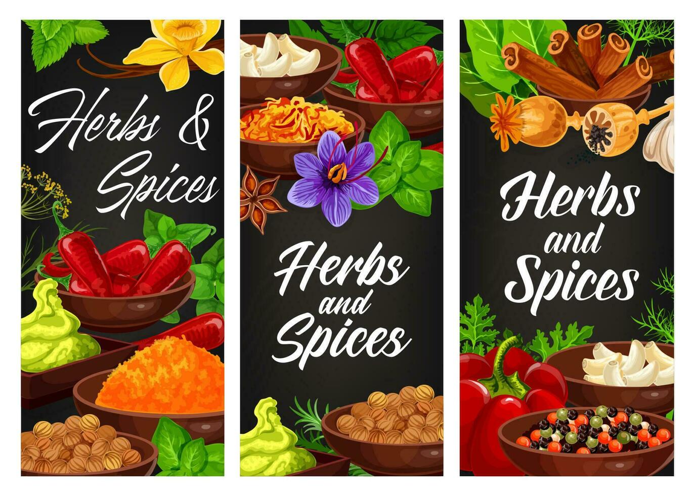 Herbs, spices seasonings and condiments banners vector