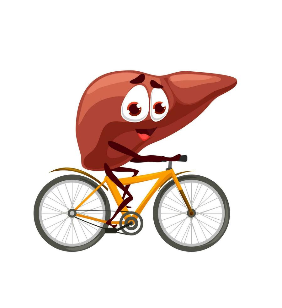 Cartoon liver character personage rides a bicycle vector