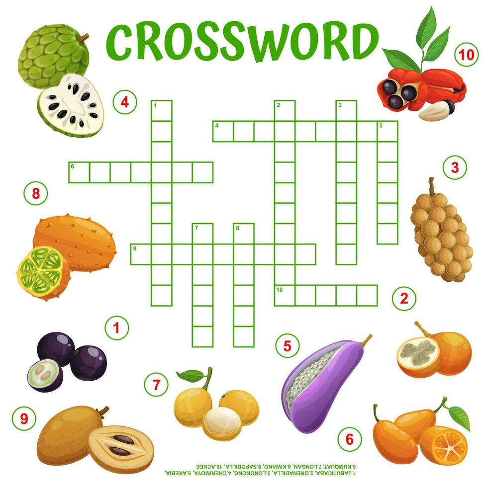 Exotic tropical fruits crossword, find a word game vector