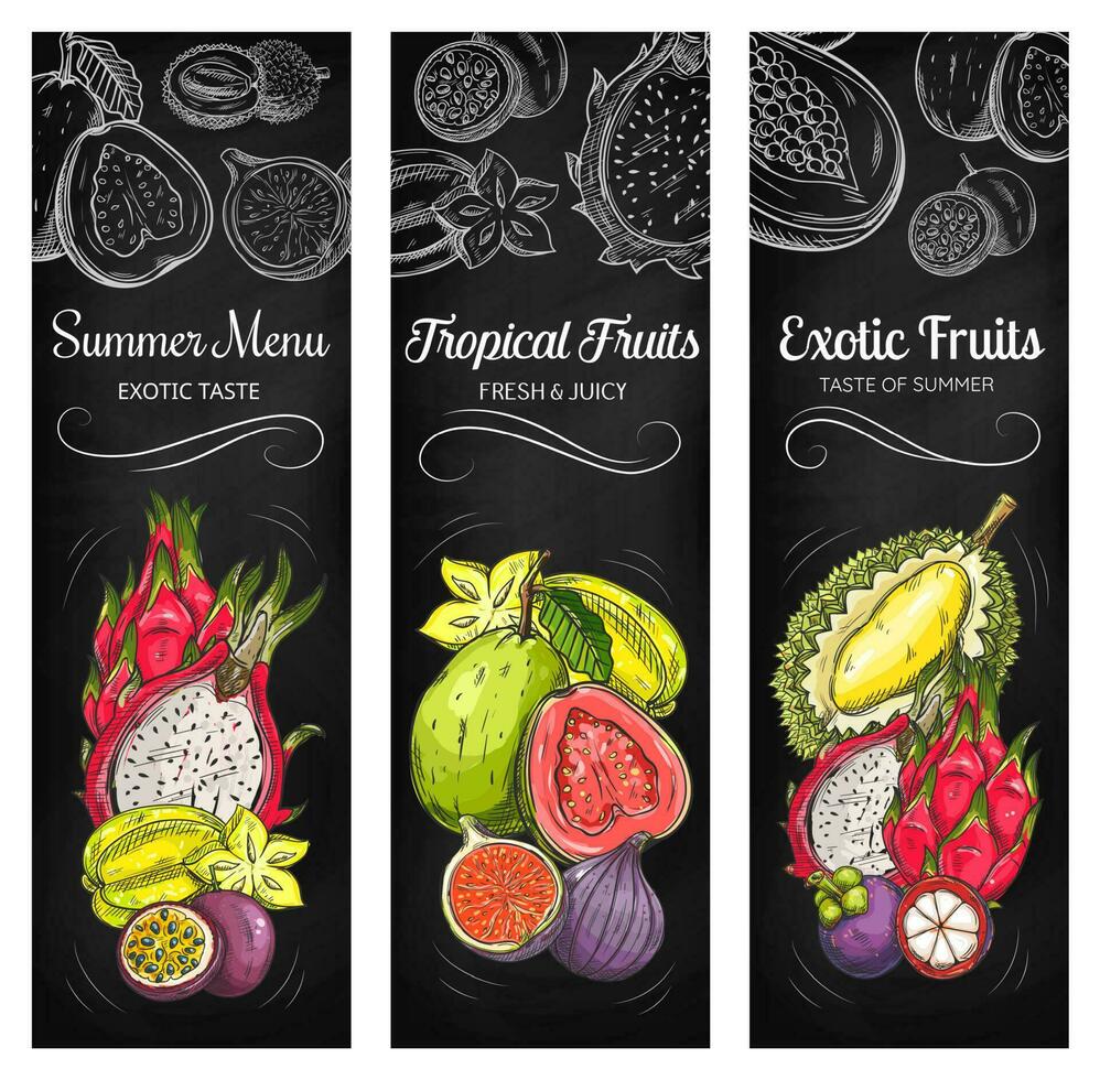 Tropical fruits chalkboard sketch banners vector