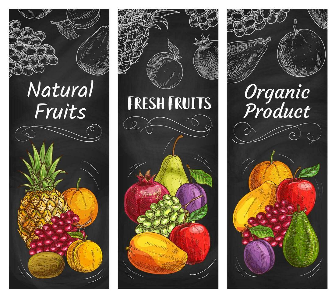 Fruits sketch banners, tropical farm market food vector