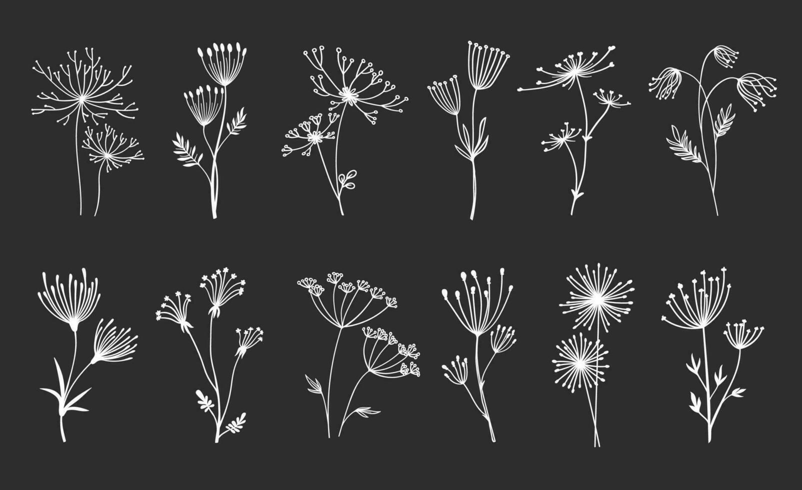 Outline floral twig sprigs and umbrella flowers vector