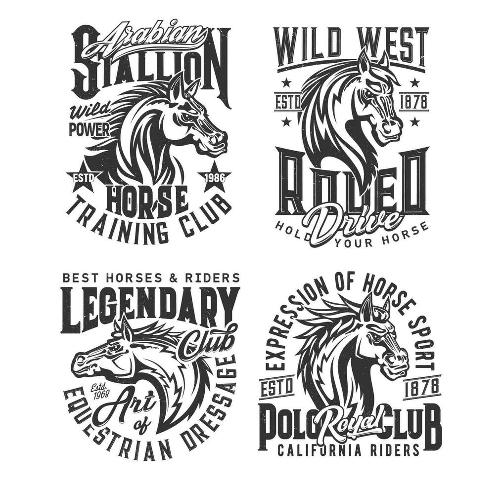 Stallion horse and wild mustang t-shirt print vector