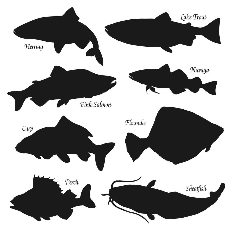 Fish silhouettes, fishing and fish market vector