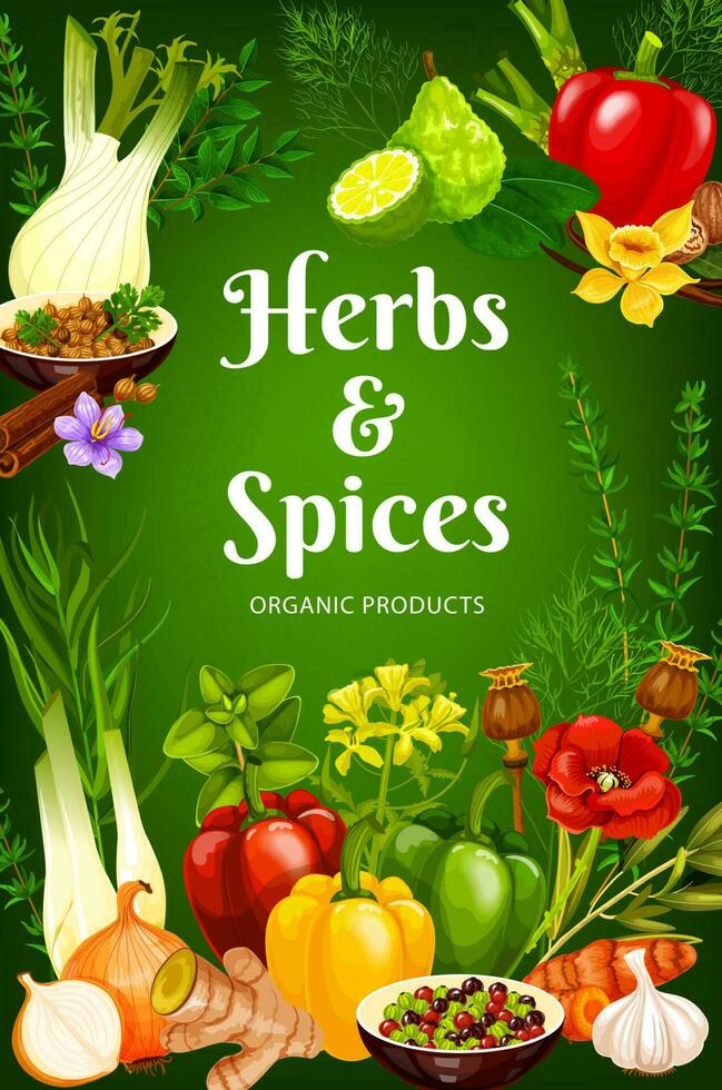 Cooking spices, herb flavorings and seasonings vector