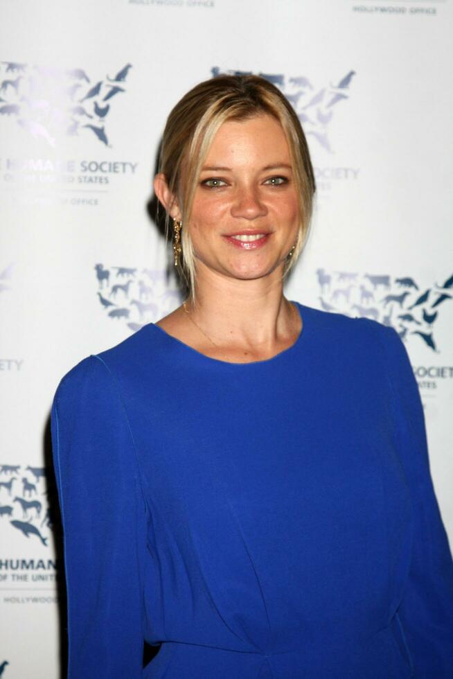 LOS ANGELES  NOV 10 Amy Smart arrives at the Rescue Paws Traveling Exhibit at W Los Angeles  Westwood on November 10 2010 in Los Angeles CA photo