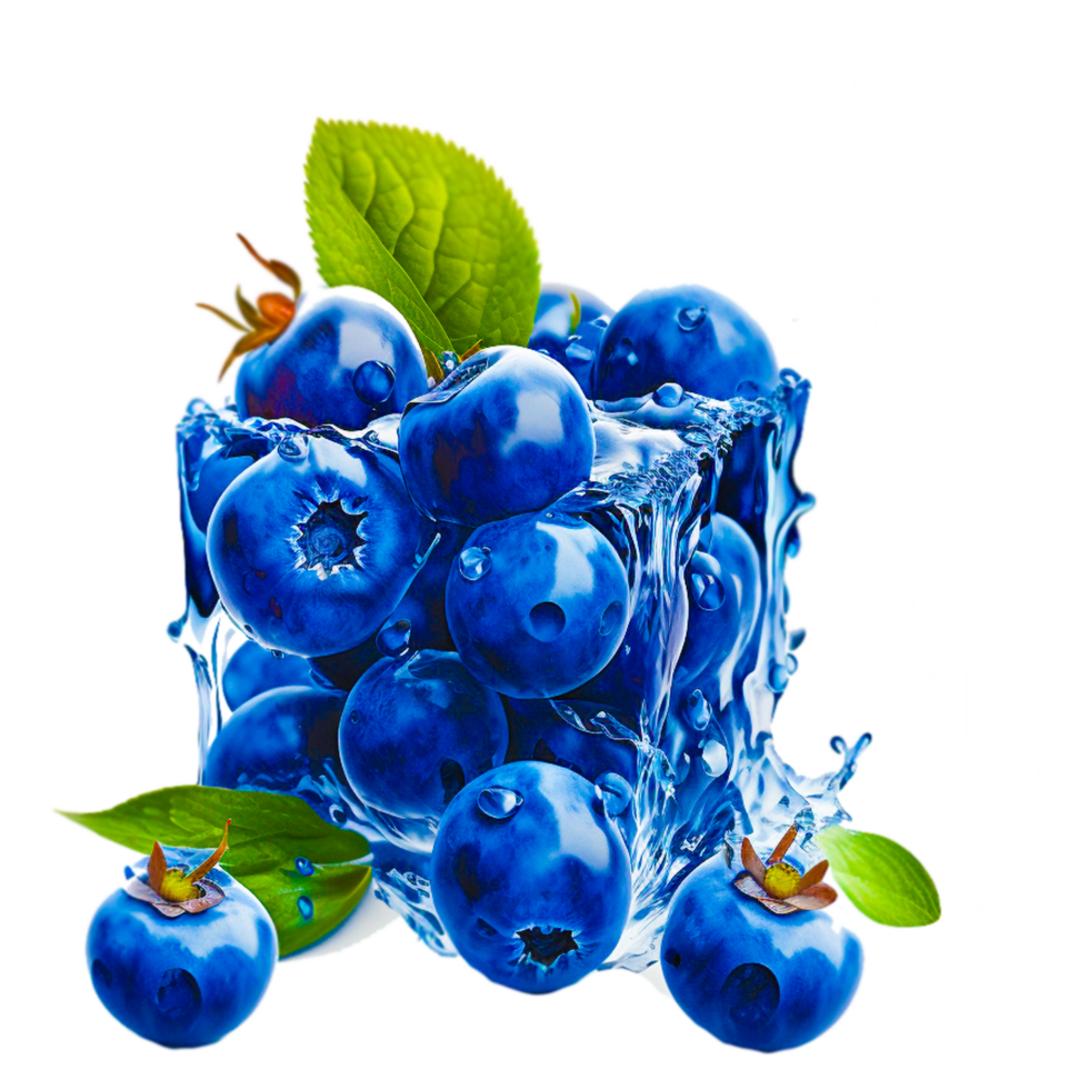 Wald Beeren Saft png