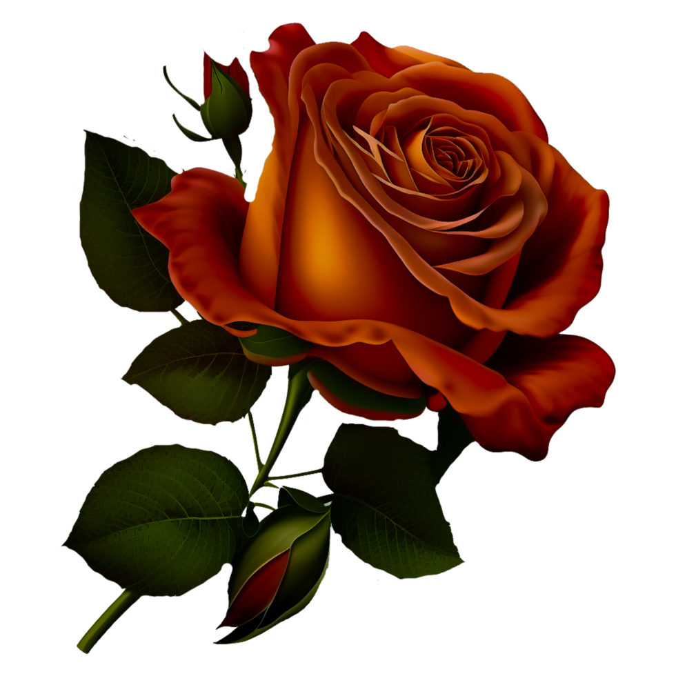 painted red rose png