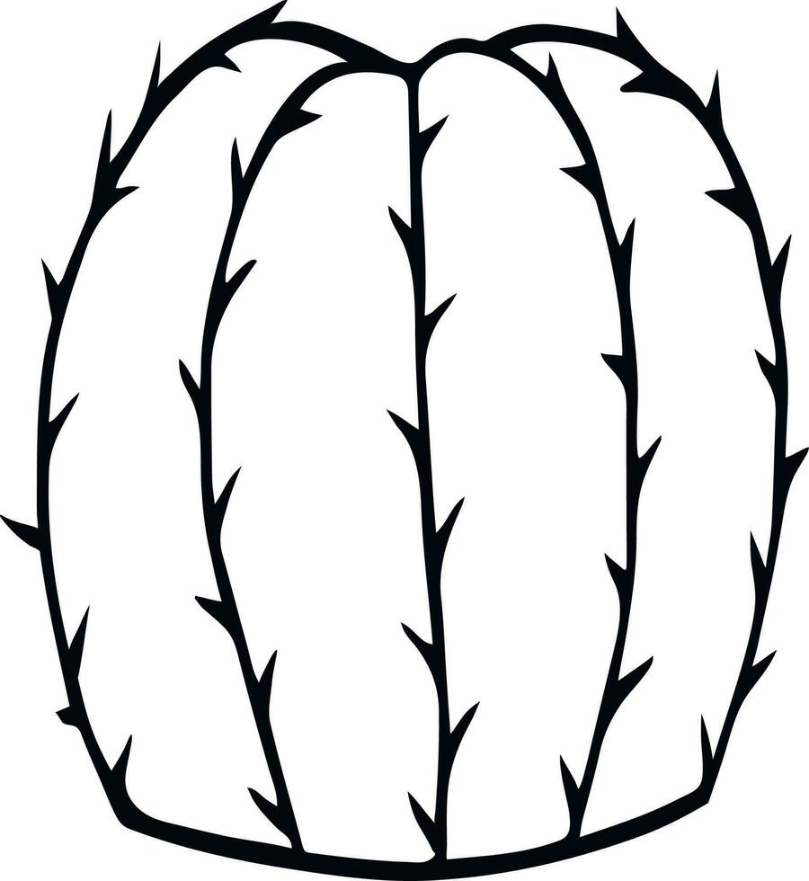 linear cactus without a pot vector