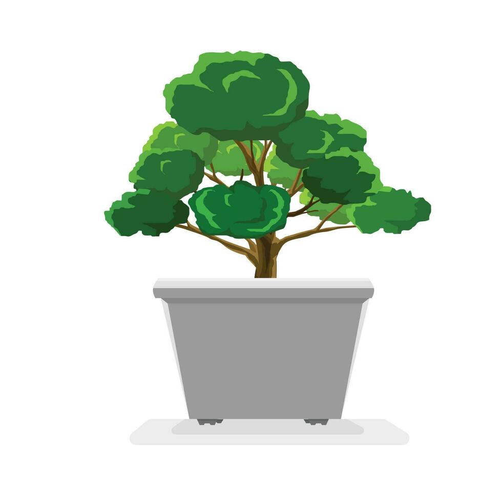 pequeño árbol en blanco maceta. enano follaje. en aislado blanco antecedentes. vector