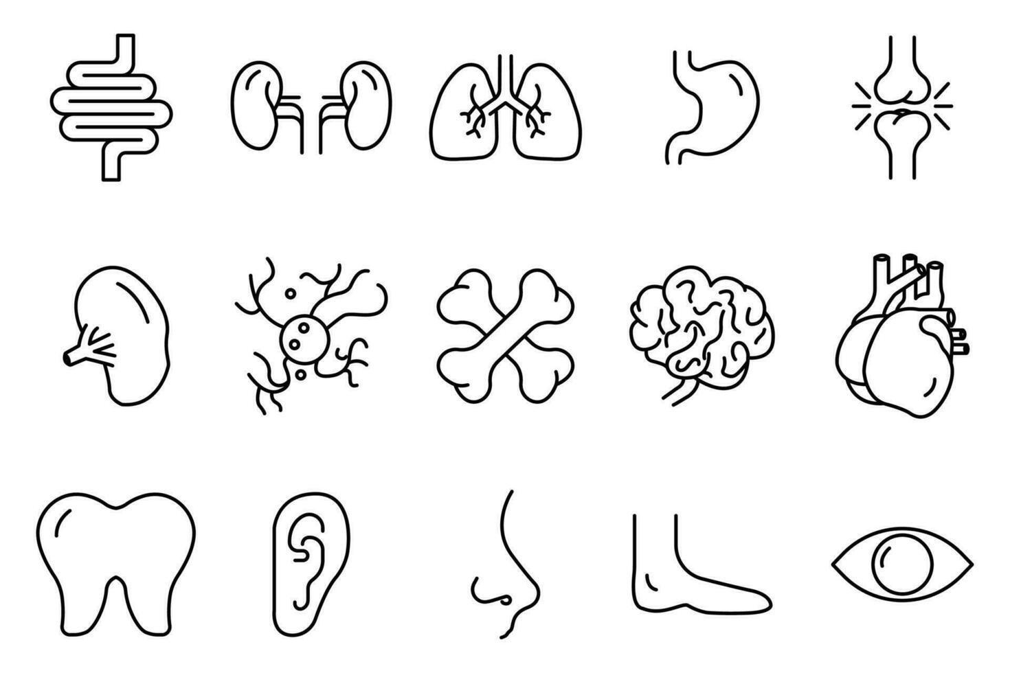 Human organs icon set illustration. Intestines, kidneys, lungs, stomach, joints, spleen, brain, liver, nose and others. Line icon style. Simple vector design editable