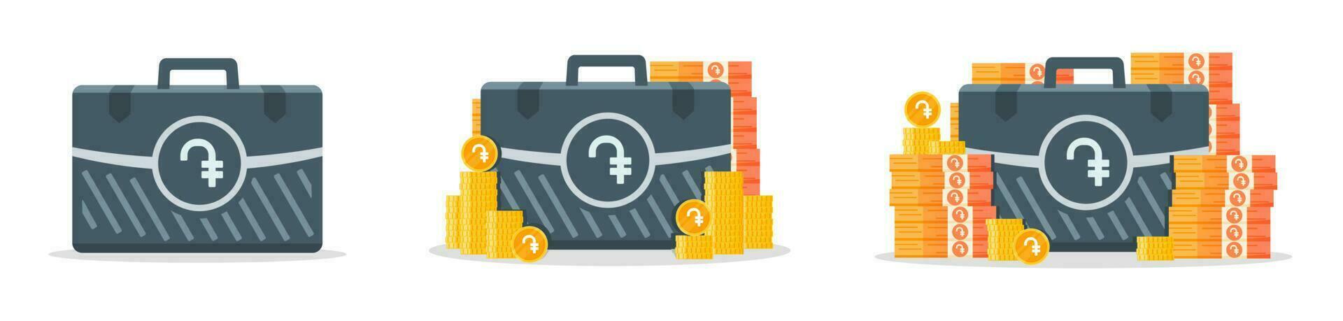 Armenian Dram Money Case Icons vector