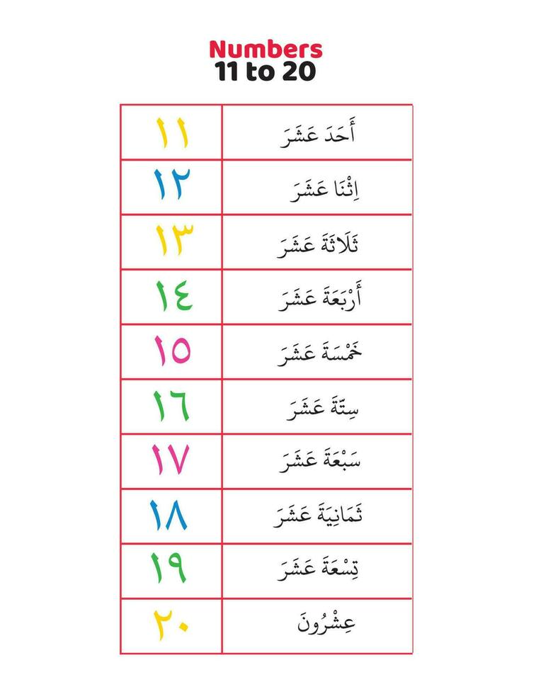 Arabic numbers 11 to 20 in words vector