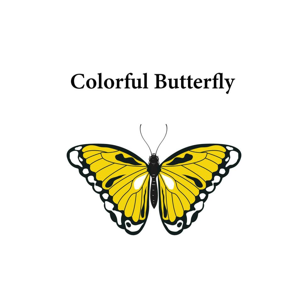beautiful butterfly vector