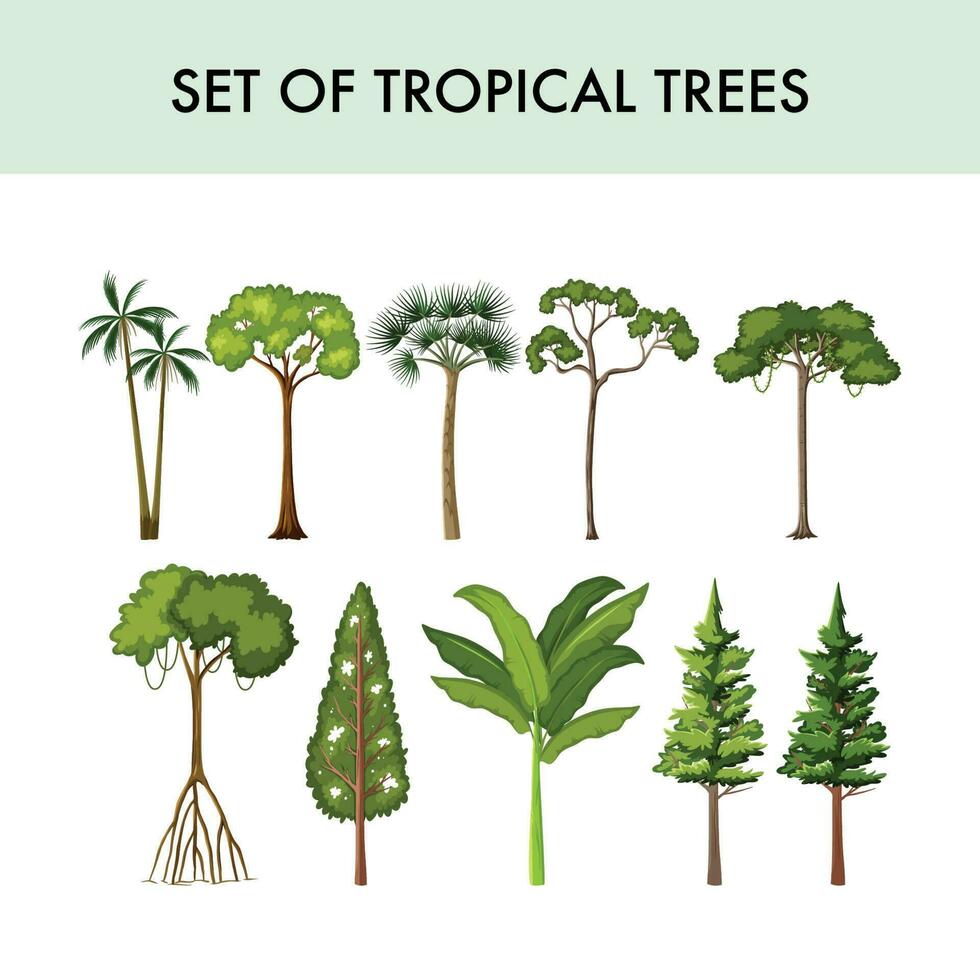 conjunto de tropical arboles vector