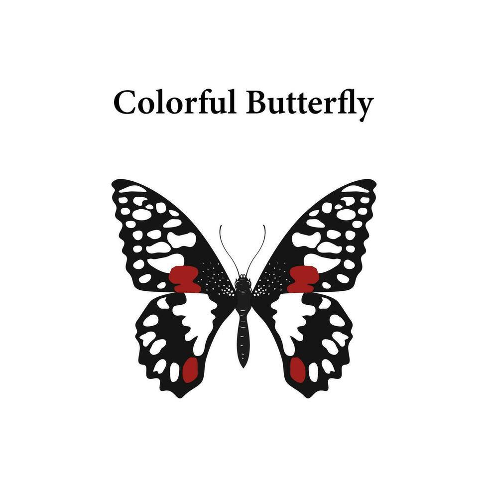 isolated butterfly vector