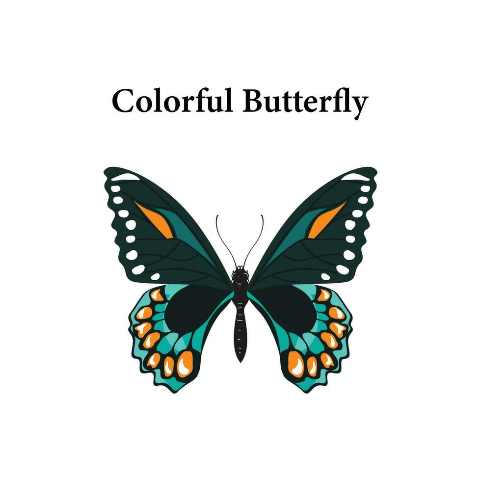 colourful butterfly vector