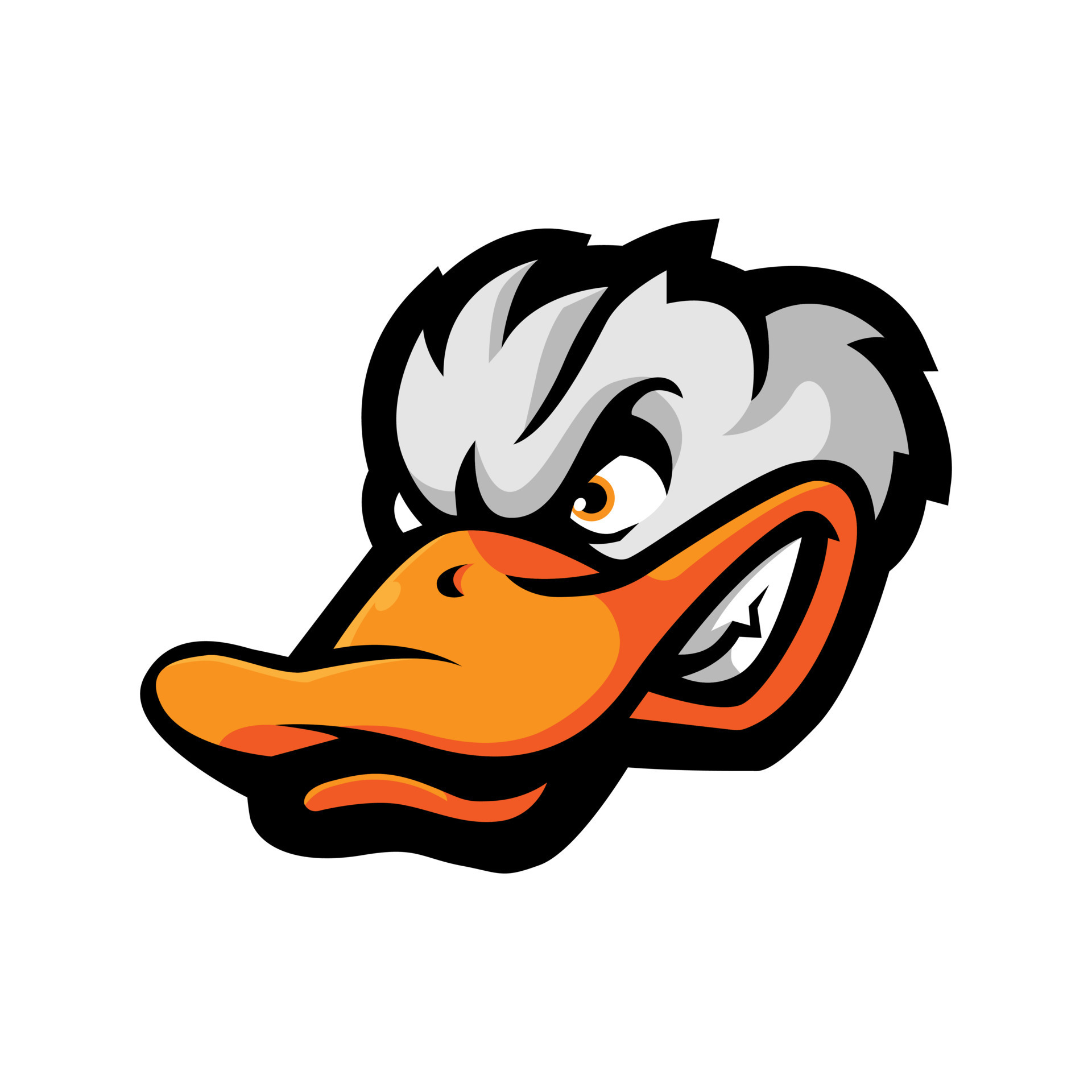 Duck head logo for sport or esport team. Ducks illustration design