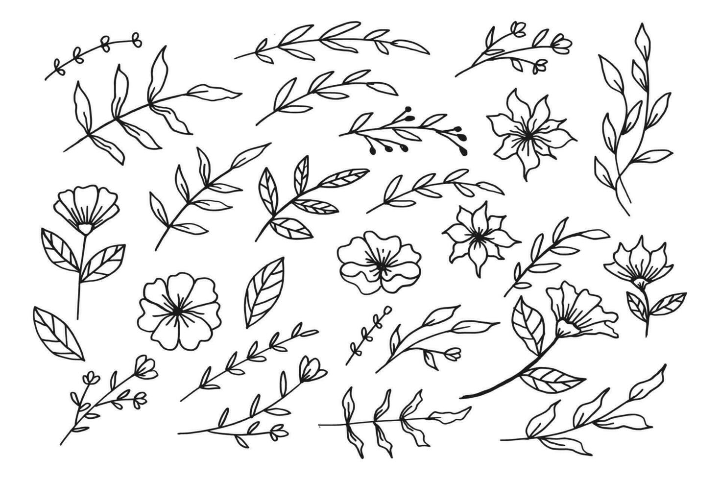 A collection of hand drawn leaves and flower decorative floral element vector