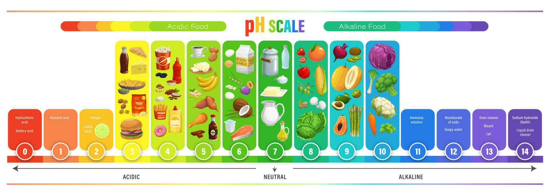 ph escala cuadro, comida ácido equilibrar medida metro vector