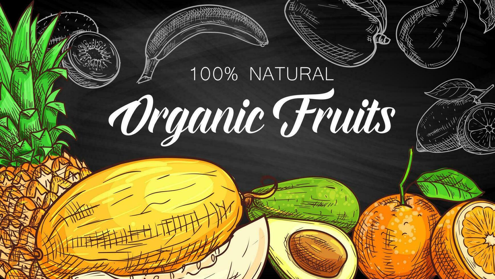 Tropical fruits sketch on chalkboard, organic food vector